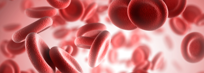 Eisenmangel Syndrom erythrozyten small